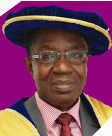 Emeritus Professor Oluwole Akande